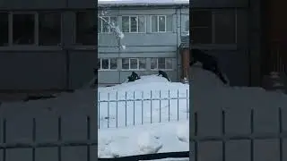 Школота резвится, без гаджетов👍✊🐝