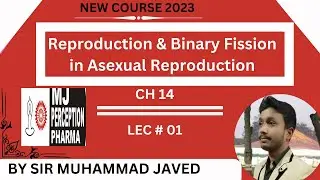 Reproduction & Binary Fission in Asexual Reproduction | CH 14 Reproduction | 10th class Biology