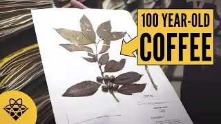Inside America's Strategic Nut Reserve