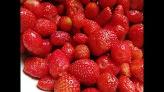 Деревня! Июль! Клубничный рай! Поездка к костоправу! Дары огородные! 