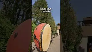 Interesting Sound Effects on Cool Instruments 