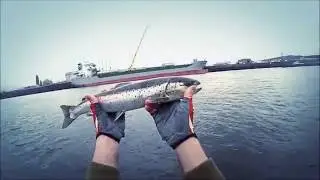 Seatrout Fishing - Urban Adventure