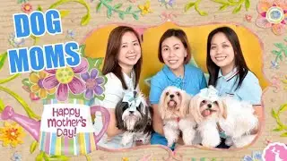 MOTHER'S DAY 2021 | LIFE OF A DOG MOM