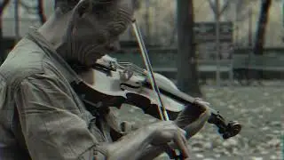 AI Song - Orchestral Heartbeat FULL SONG