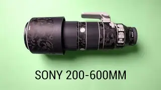 Dieses Objektiv trage ich oft mit - Sony 200-600mm