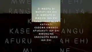 Lava Lava - Desh Desh #shorts #lyrics #bongo