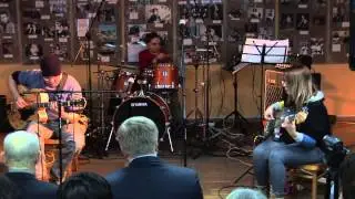 Блюзовое трио «Вася, Квак и Маринелло»