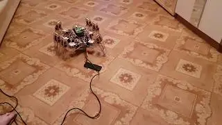 SKYNET - First gait