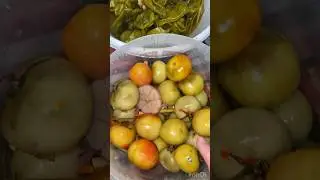 Солю Капусту с зелеными помидорами и перцом! #рекомендации #рек #рецепты#готовимсами