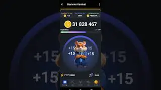 Hamster Kombat game with real earnings, simulator of a crypto exchange director in Telegram