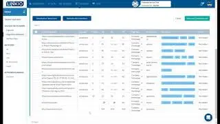 Analyzing an E-Commerce EXACT Match Domain for a Link Building Campaign with Linkio