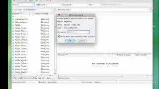 Transferring Files to a Web Server using an FTP Program