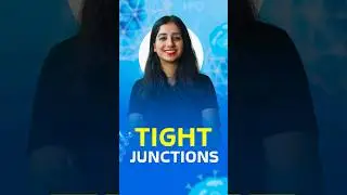 Tight junctions - Extracellular matrix #cellbiology #neet #csirnet #gate #biology #science #cuet