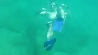 SNORKELING a SHIPWRECK!!!