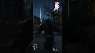 ДОБРОТА В Fallout 