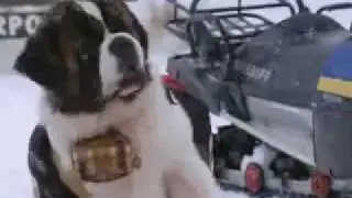 Mitchel Musso - Lean On Me (Official Music Video)