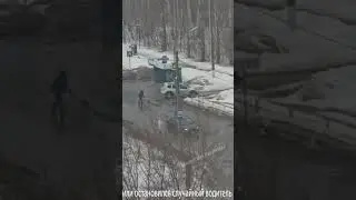 Собака напала на хозяйку. Пес бойцовской* породы на суете