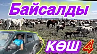 Көктеуге көшіп барамыз сақман басталды…