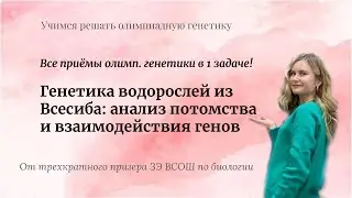 Разбор задач по олимпиадной генетики: 5 полезных приёмов в 1 задаче из закла Всесибирской олимпиады