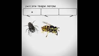 лето