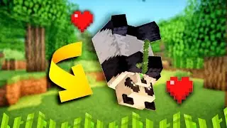 Minecraft: Just Your Regular Panda Rollin'