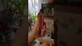 Утка мулард вес в 4 мес.