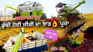 ਡੁੱਬੀ ਹੋਈ ਜੀਰੀ ਦਾ ਝਾੜ 👌ਪੂਰਾ | 121 ਬੀਜ਼ | Happy Moments | Shushant | Rice Harvesting | VLOG