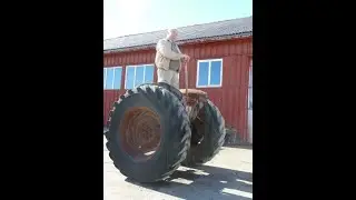 Top 5 segway