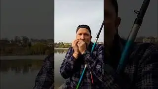 #harmonica
