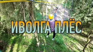 Иволга Плёс