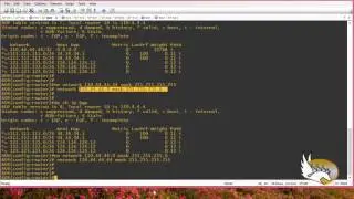 BGP Network and Redistribute Commands