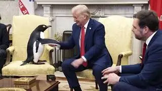 BREAKING: Penguin prime minister of McDonald Islands reach a tariffs agreement with Trump