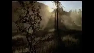 Таежный тупик.