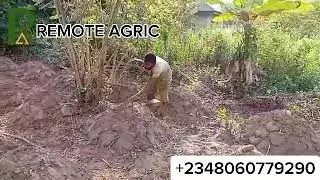 REMOTE AGRIC: Own A Yam Farm Part 2. Join us Now!