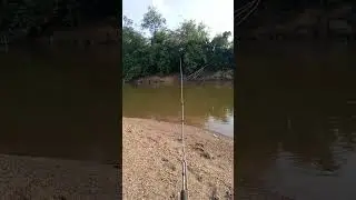 hari ini cari target ikan mata merah. #anglermania #storymancing #mancingdisungai