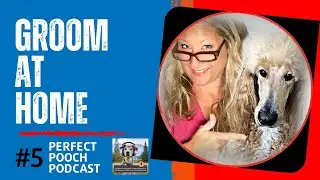Grooming Your Dog At Home by Amy Leigh from Go Groomer-Episode # 5