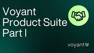 The Voyant Product Suite, Part 1 - An Introduction from CEO David Kaufman