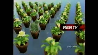 Две Рекламные заставки канала REN-TV (2004)