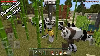 Binisita Ko Ulit Sila Panda!! | Minecraft Mobile (Tagalog) Episode 25