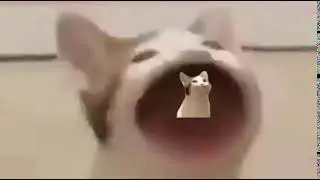 Popcat inside popcat