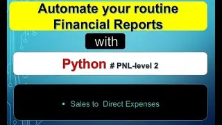 How to Automate your boring end month financial statements with Python -  # PNL - level 2