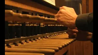 Toccata in d-moll (BWV 565) J.S. Bach | Beiaard Sint Romboutstoren Mechelen - Eddy Marien