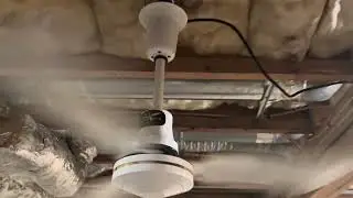 36” Enviro Fan goldline ceiling fan 