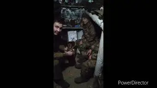Говорят они а стыдно мне ! 😡
