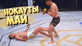 MMA Knockouts | May 2021 | Week 2