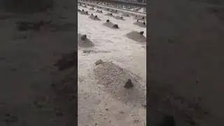 Кладбище Бакы