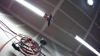 Paul Chandler Live Stream 3