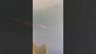 Выращивание Форели в пруду. Пруд на приусадебном участке.