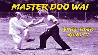 Master Doo Wai - White Tiger Kung FU