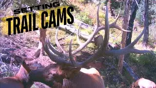 SETTING TRAIL CAMS FOR MY ELK HUNT